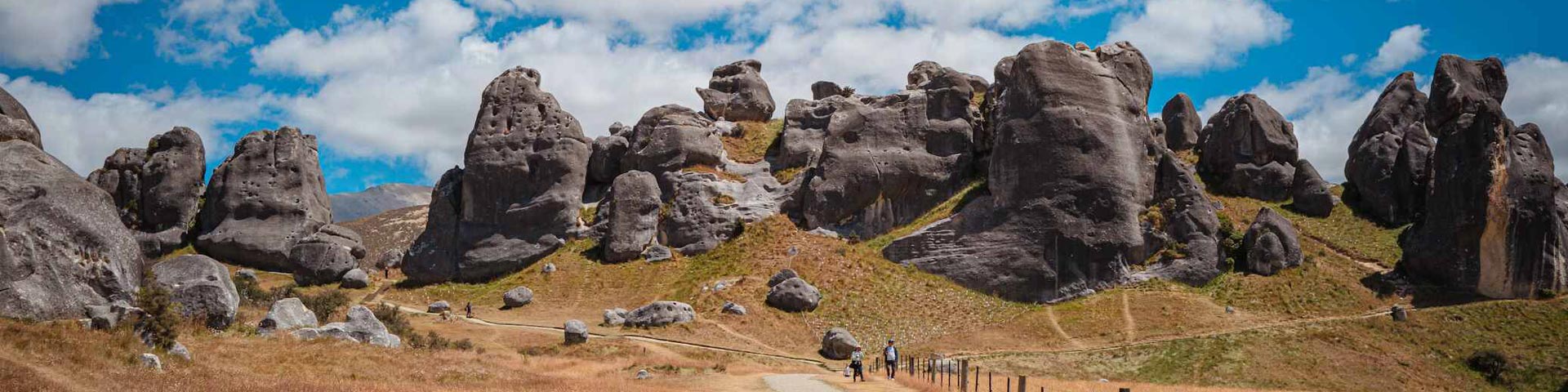 nz south