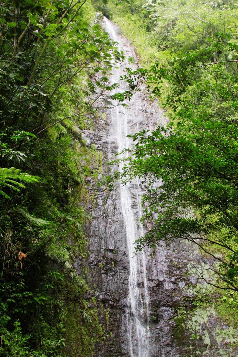 Manoa Falls
