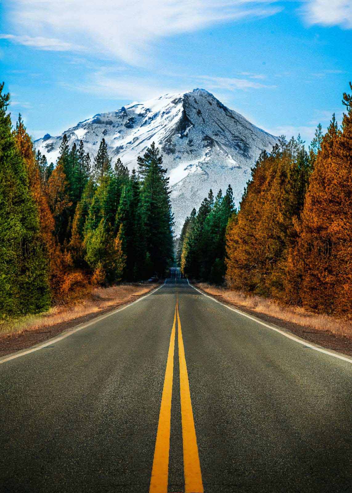 Mount Shasta