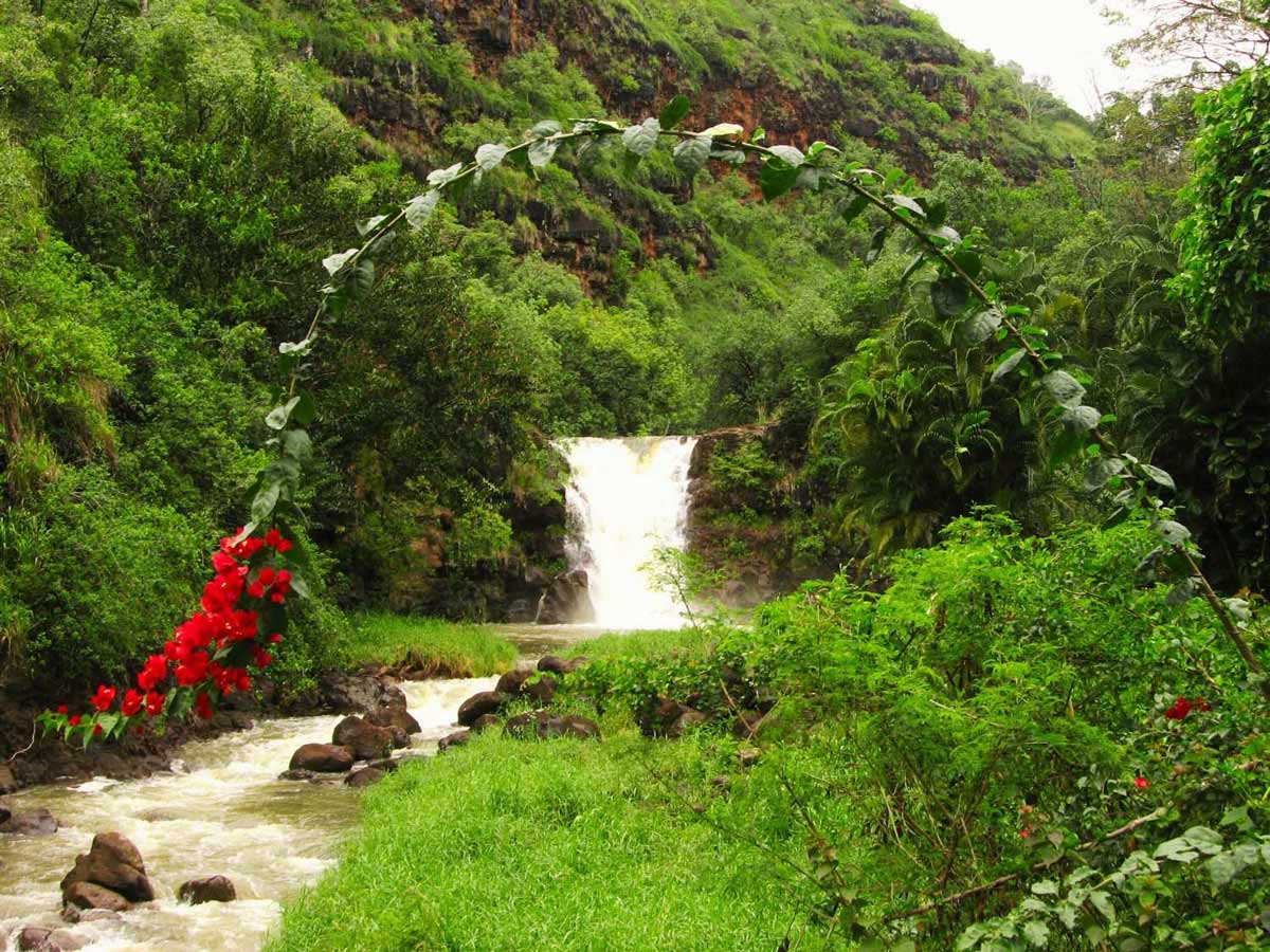 North Shore, Waimea Valley
