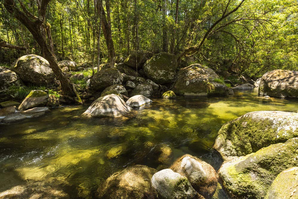 Mossman Gorge