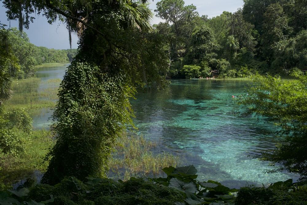 Ocala National Forest