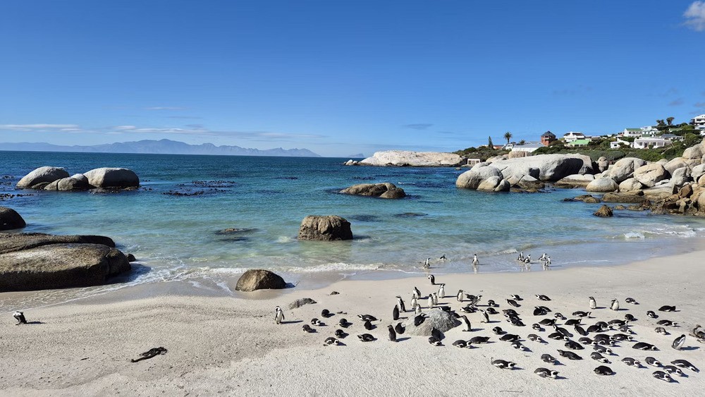 Boulders Beach