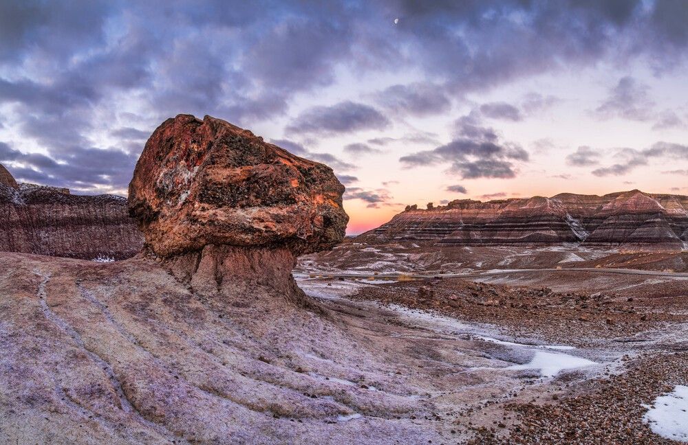 Petrified Forest National Park
