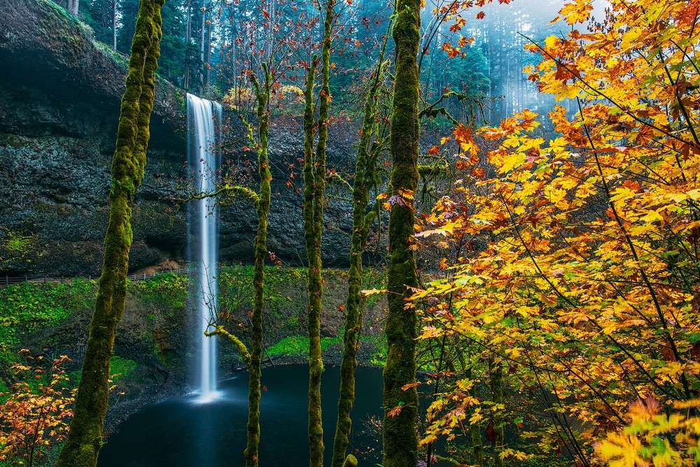 Silver Falls State Park