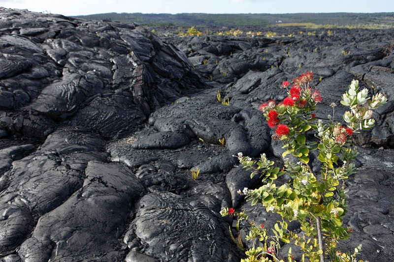 ハワイ火山国立公園