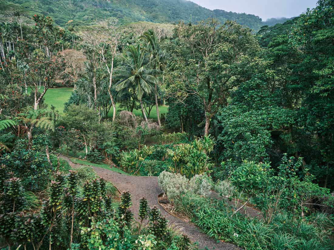 Lyon Arboretum