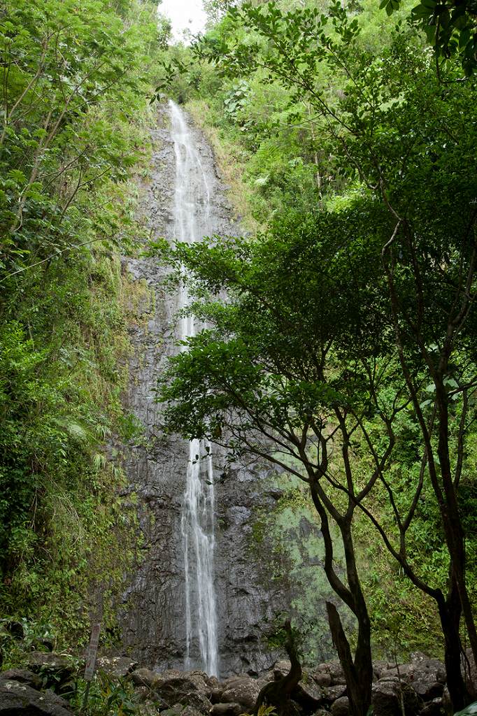 Manoa Falls
