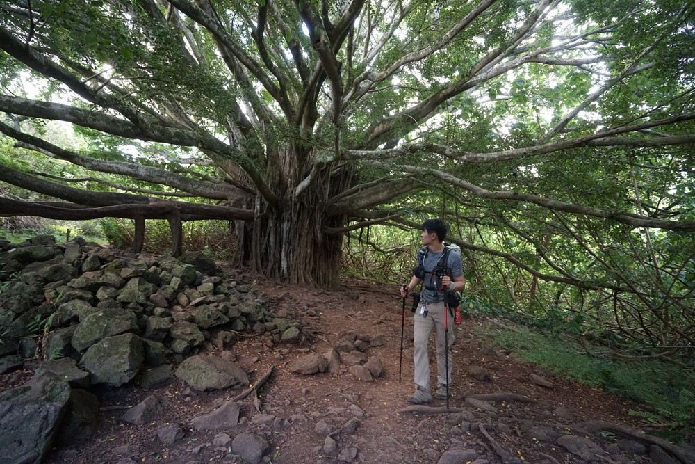 Pipiwai Trail