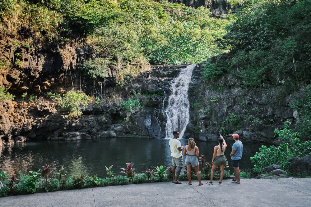North Shore, Waimea Valley